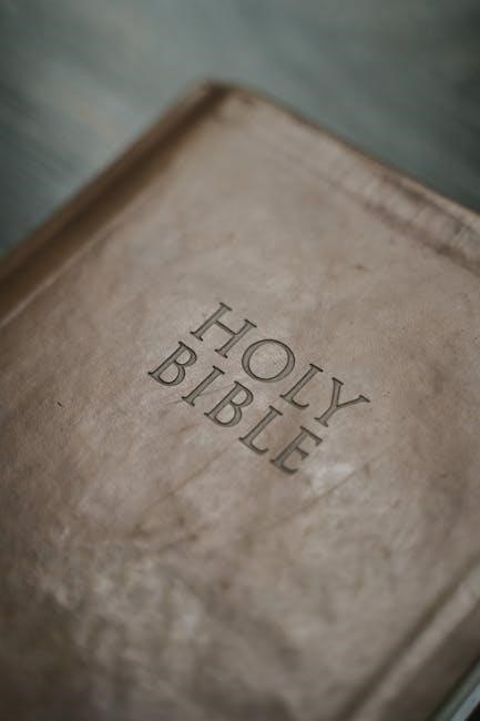 5 year bible reading plan pdf